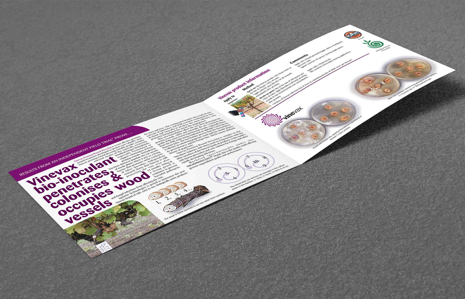 Vinevax PWD brochure redesign inside spread