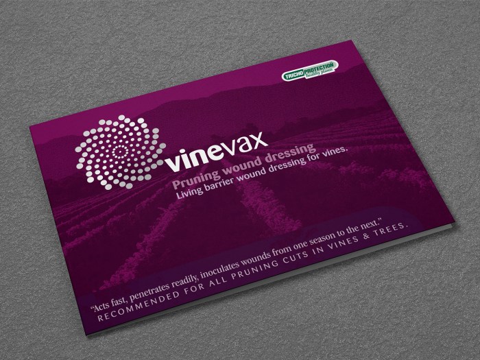 Vinevax PWD brochure redesign cover