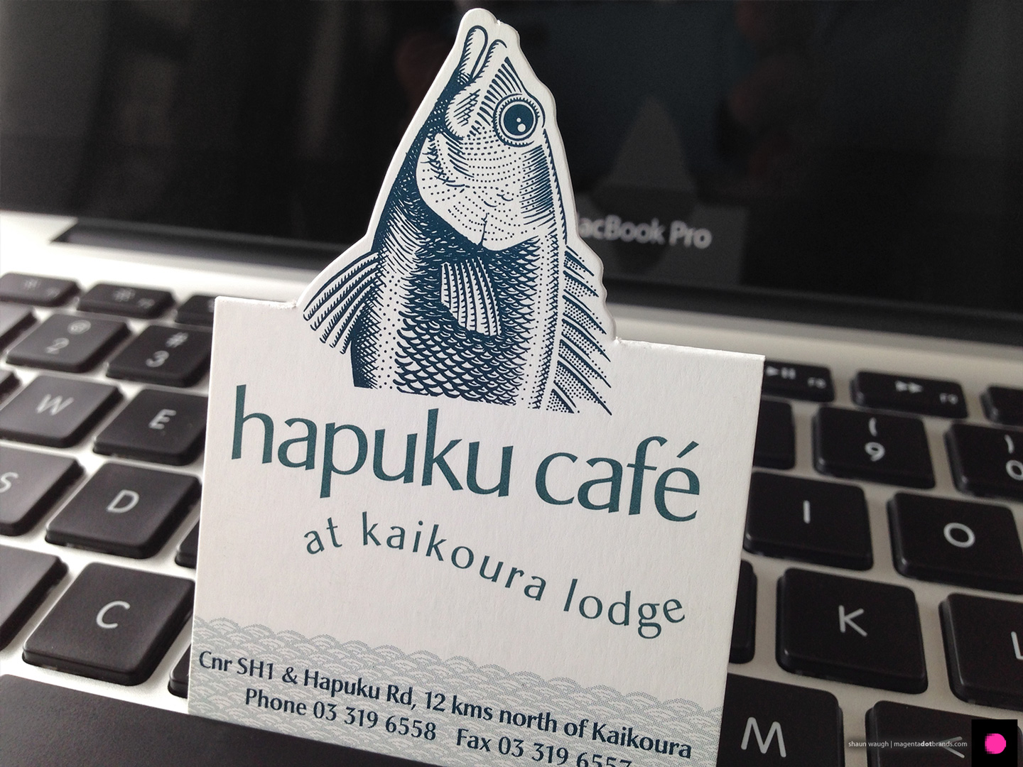 Novel pop-up Hapuku Cafe and Lodge logo business card, a business card and a calling card rolled into one. Digital illustration, logo design and graphic design, Christchurch, New Zealand.