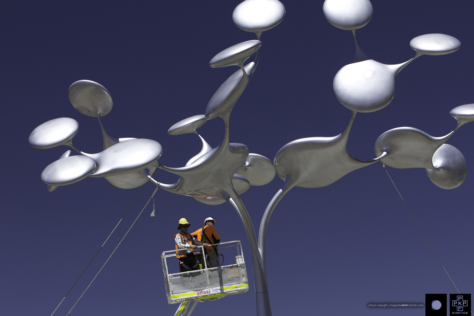 Phil Price installing the Tree of Life, Karingal, Melbourne, Australia.