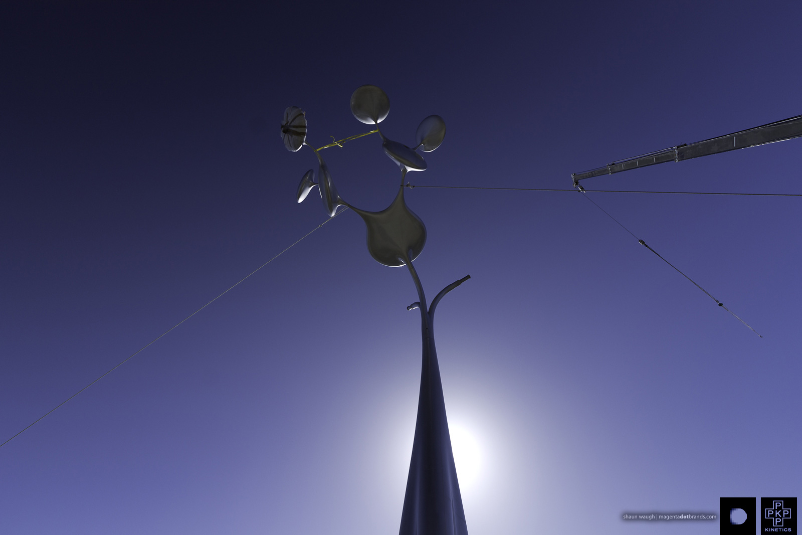 Phil Price installing the Tree of Life, Karingal, Melbourne, Australia.