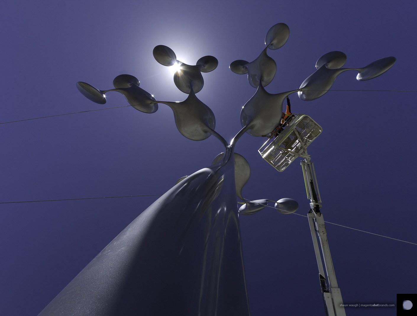 Phil Price installing the Tree of Life, Karingal, Melbourne, Australia.