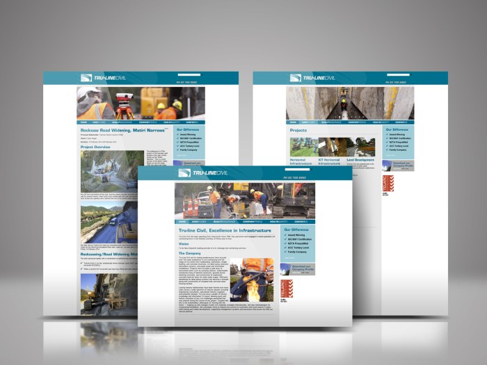 Tru-Line Civil website showcase.