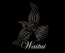 Waitui Single Malt Manuka Honey Whiskey from Golden Bay, symbol and type logo. On a black background in metallic gold a rhythmic, looped, calligraphic line drawing of a tui in flight viewed from below is entwined with the name Waitui in white, set in sloped, looped copperplate italic font. The tui bears an iconic koru form on its throat. Brands for New Zealand companies.