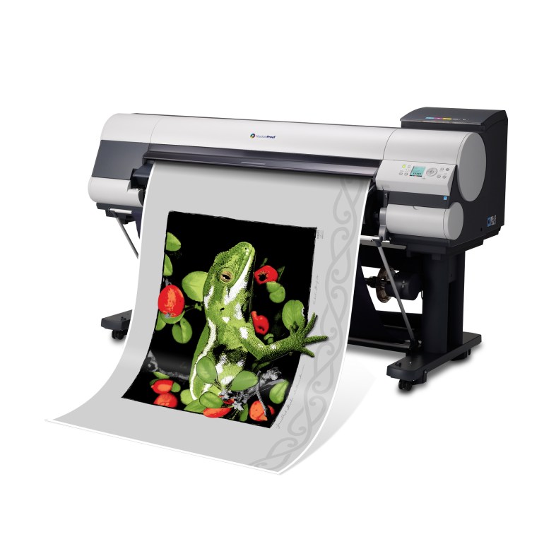 Jewelled Gecko Giclée on light grey matt background, A1 size.