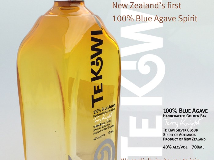 Silver Cloud product launch invitation