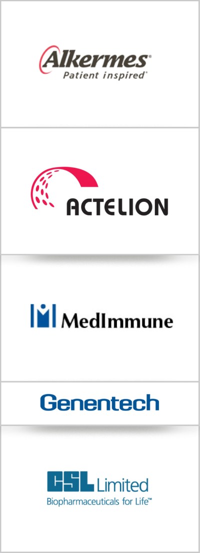 Competitor logos serve as a guide for exploring design directions.