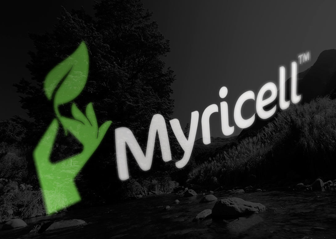 Myricell logo on black glass, Beech tree, Lewis pass reflection