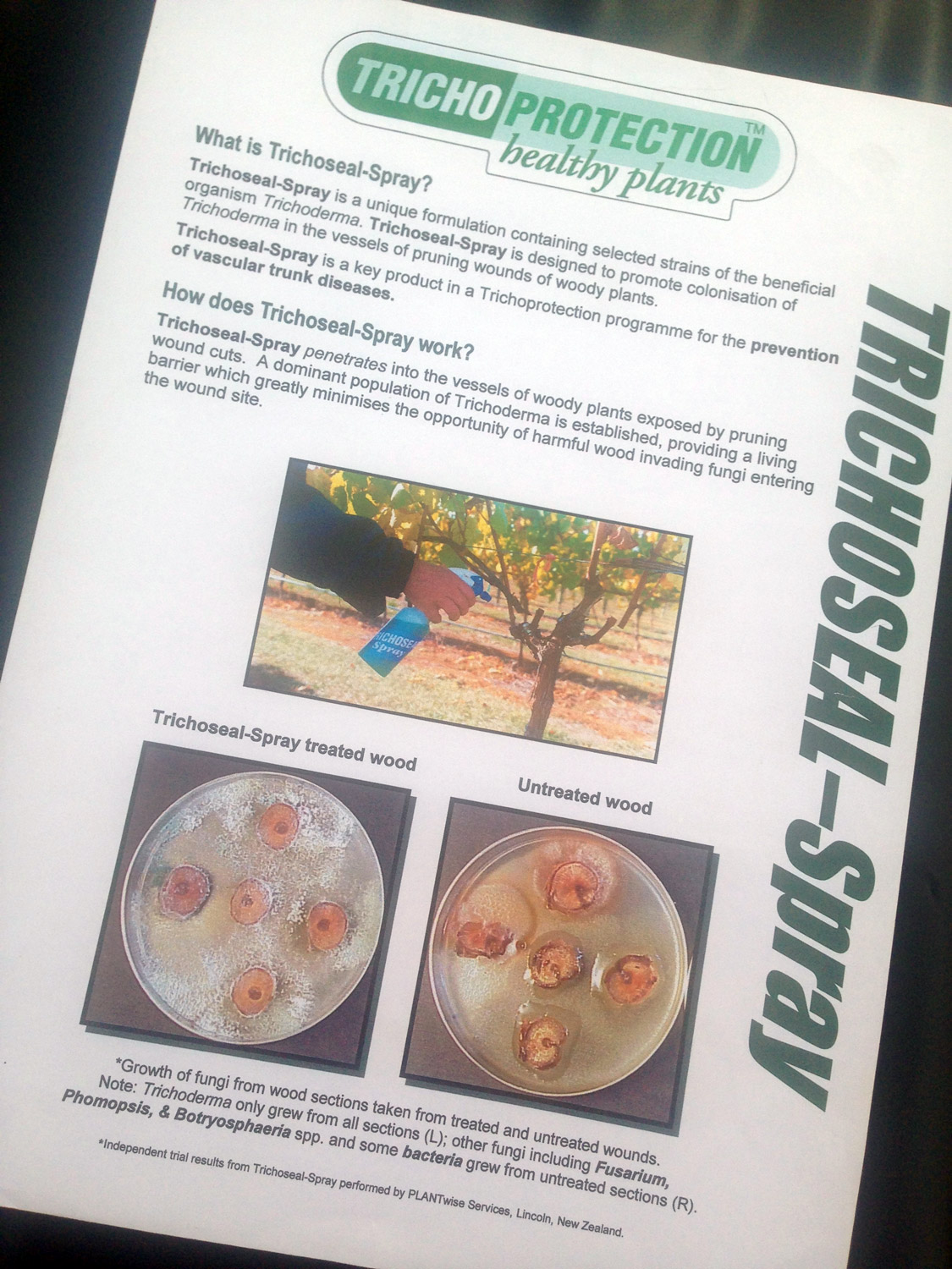 Vinevax brochure before