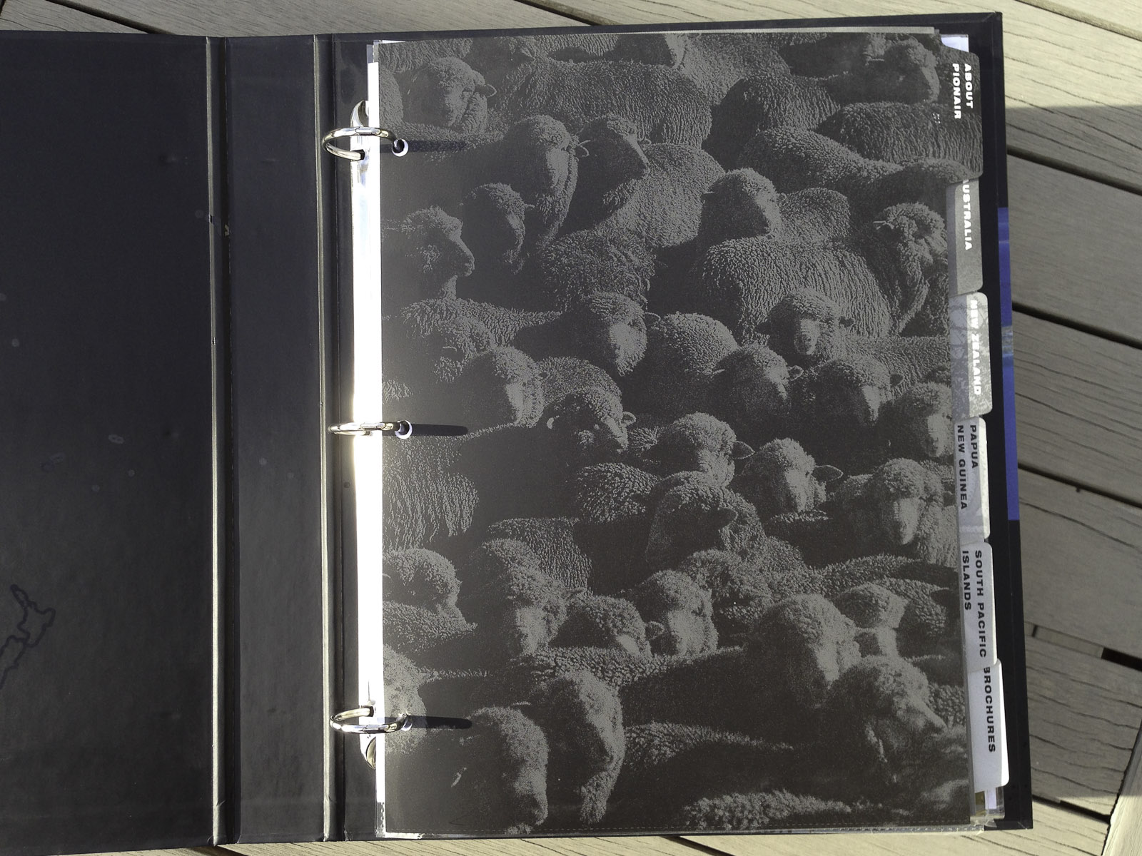 Affluent Travel Agency Toolkit. Pionair tabbed section divider. Flock of sheep.