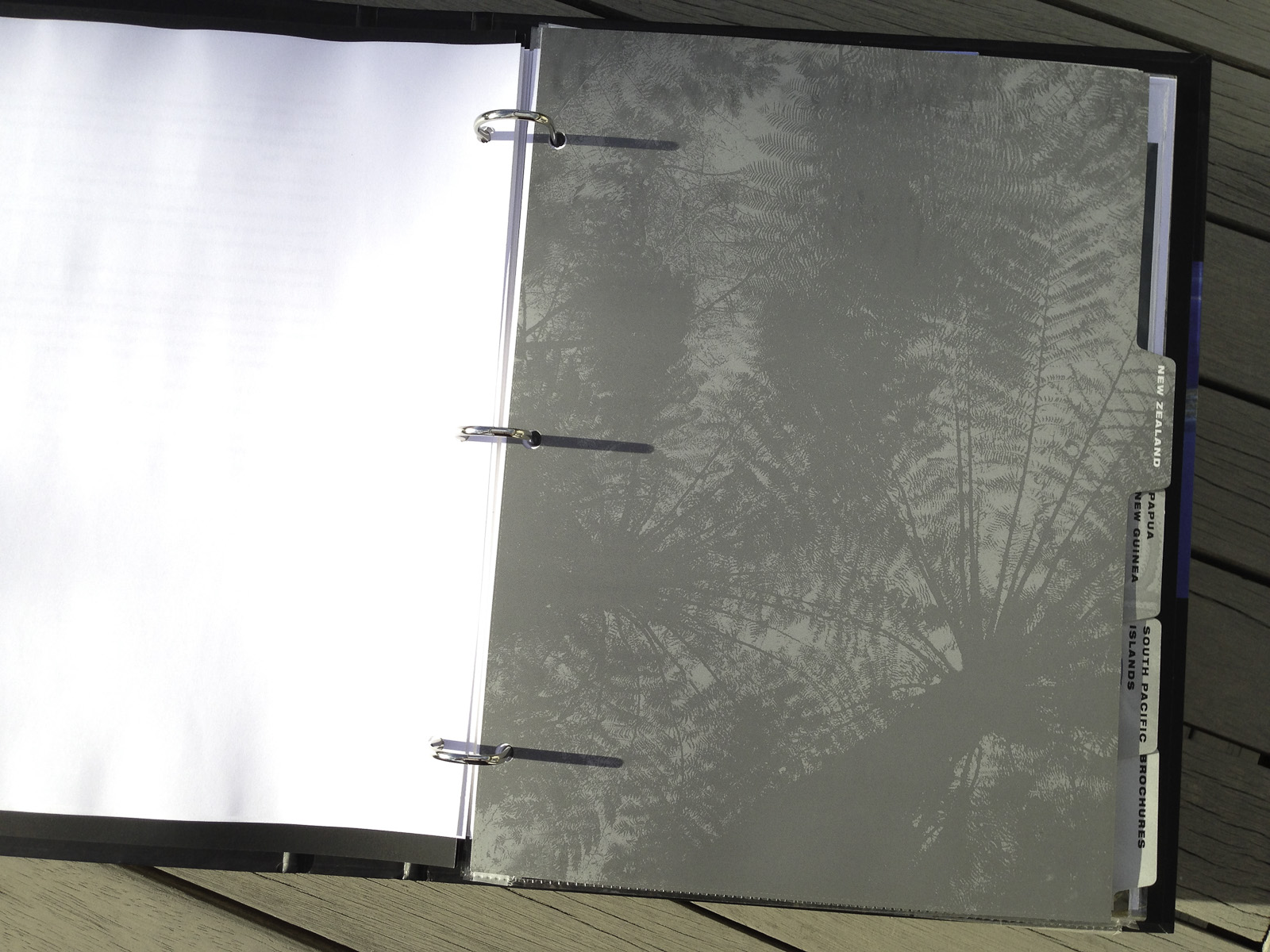 Affluent Travel Agency Toolkit. New Zealand tabbed section divider. Radiating Treefern canopy.