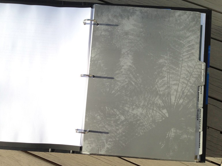 Affluent Travel Agency Toolkit. New Zealand tabbed section divider. Radiating Treefern canopy.