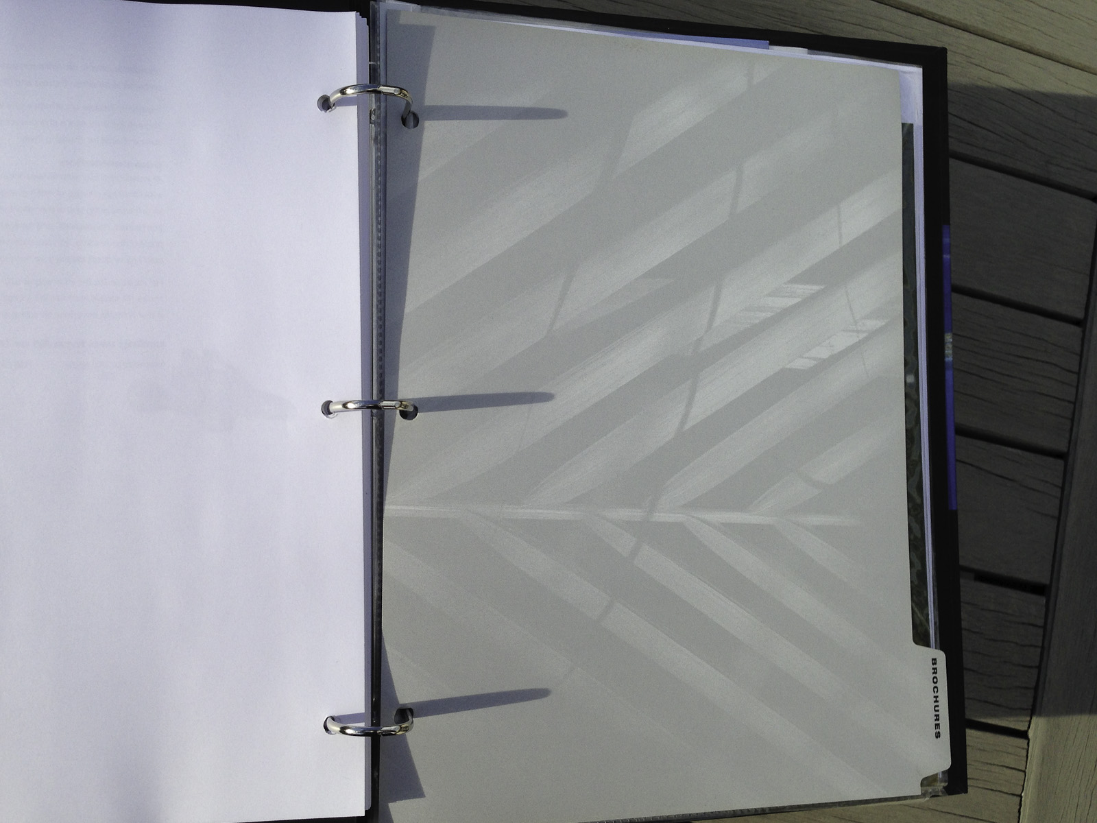 Affluent Travel Agency Toolkit, brochures tabbed section divider. Palm leaf pattern.