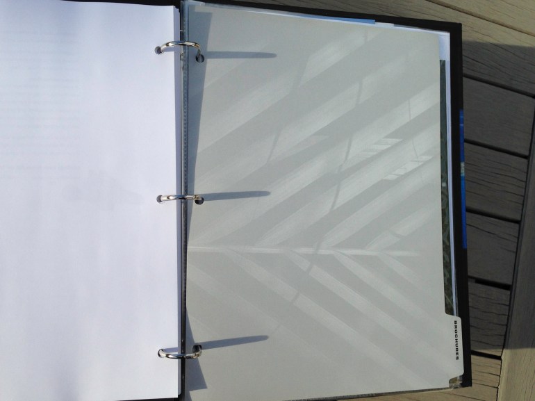 Affluent Travel Agency Toolkit, brochures tabbed section divider. Palm leaf pattern.