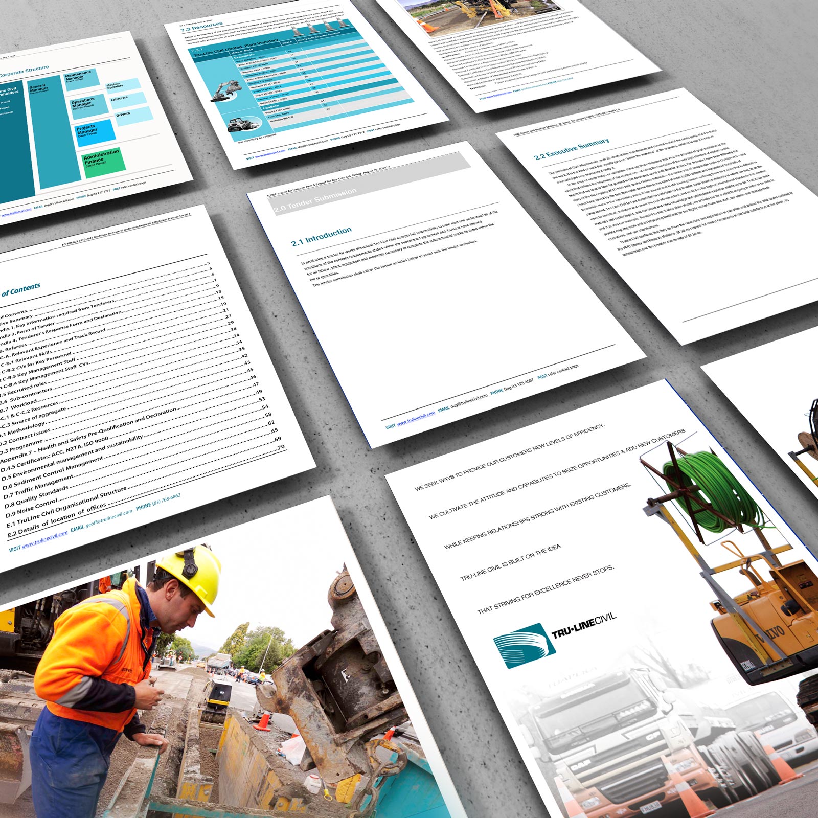 Perspective M=montage of 9 sample pages of the TruLine Civil Tender bid document