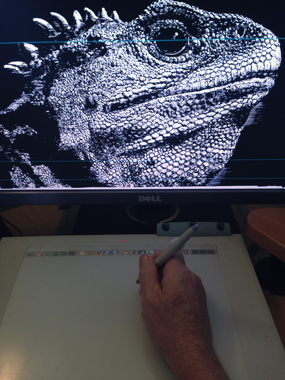 cleaning up the high-resolution-scanned Tuatara artwork drawing with a stylus