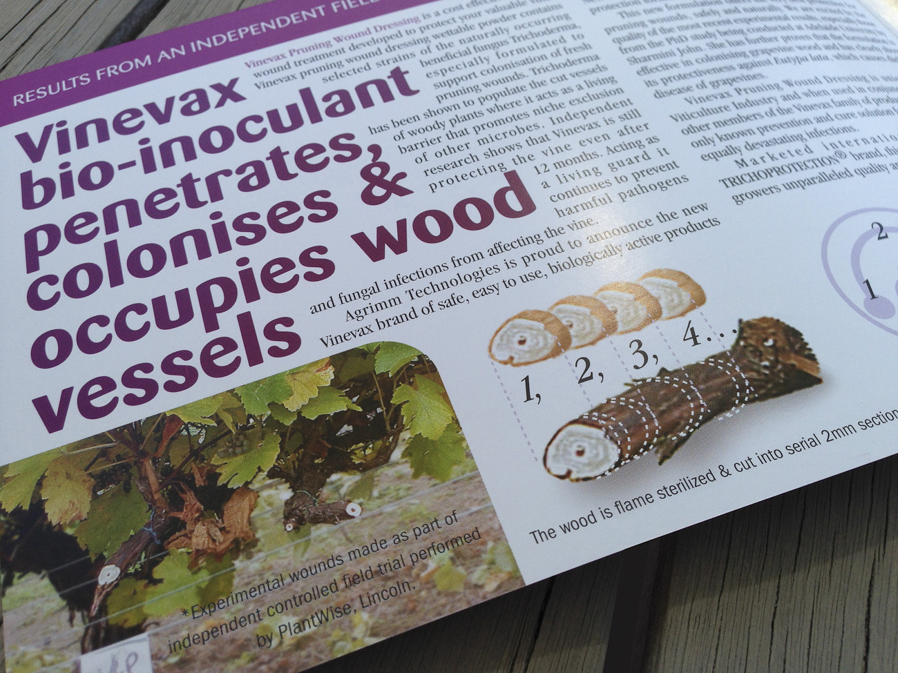 First page of the Vinevax brochure draws the reader in