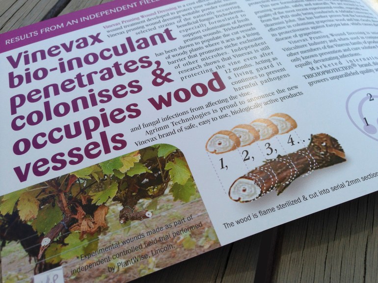 First page of the Vinevax brochure draws the reader in