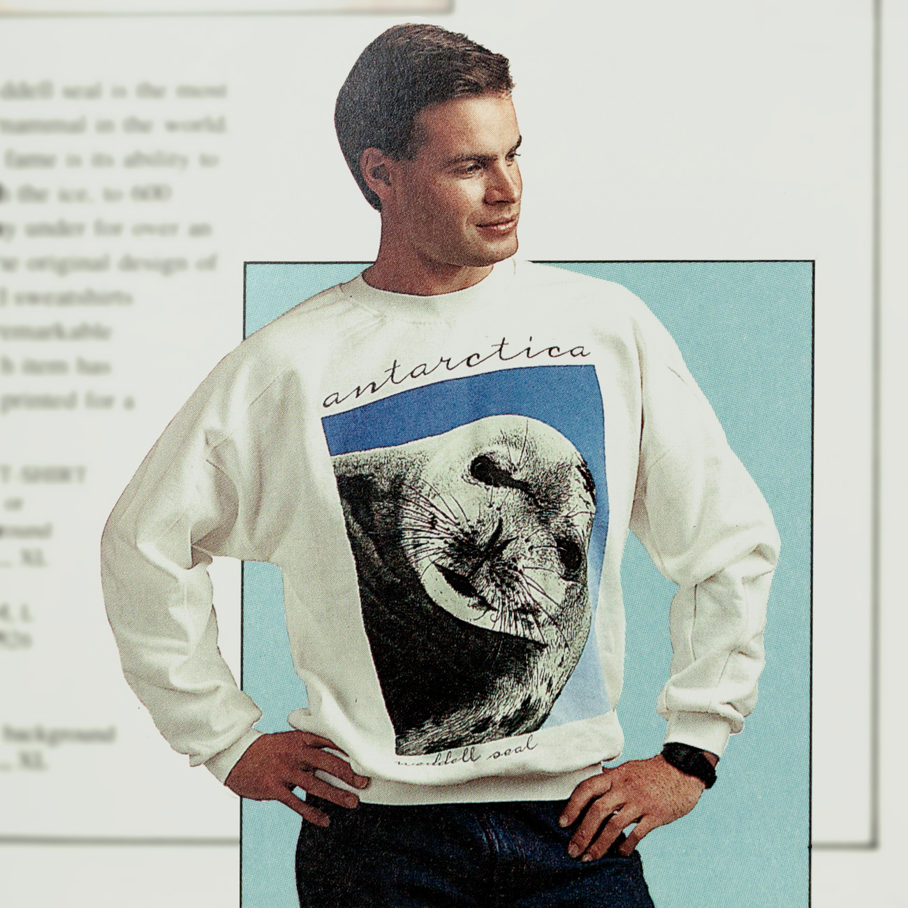 Antarctic Centre Wedddell Seal - Antarctica sweatshirt