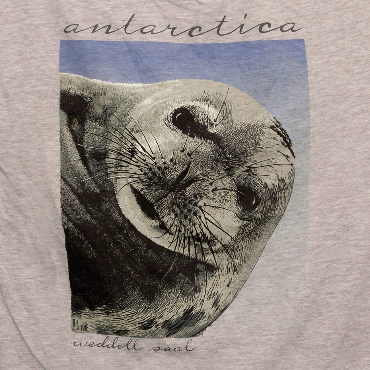 Antarctic Centre Wedddell Seal - Antarctica hand screenprint on grey marle T-shirt