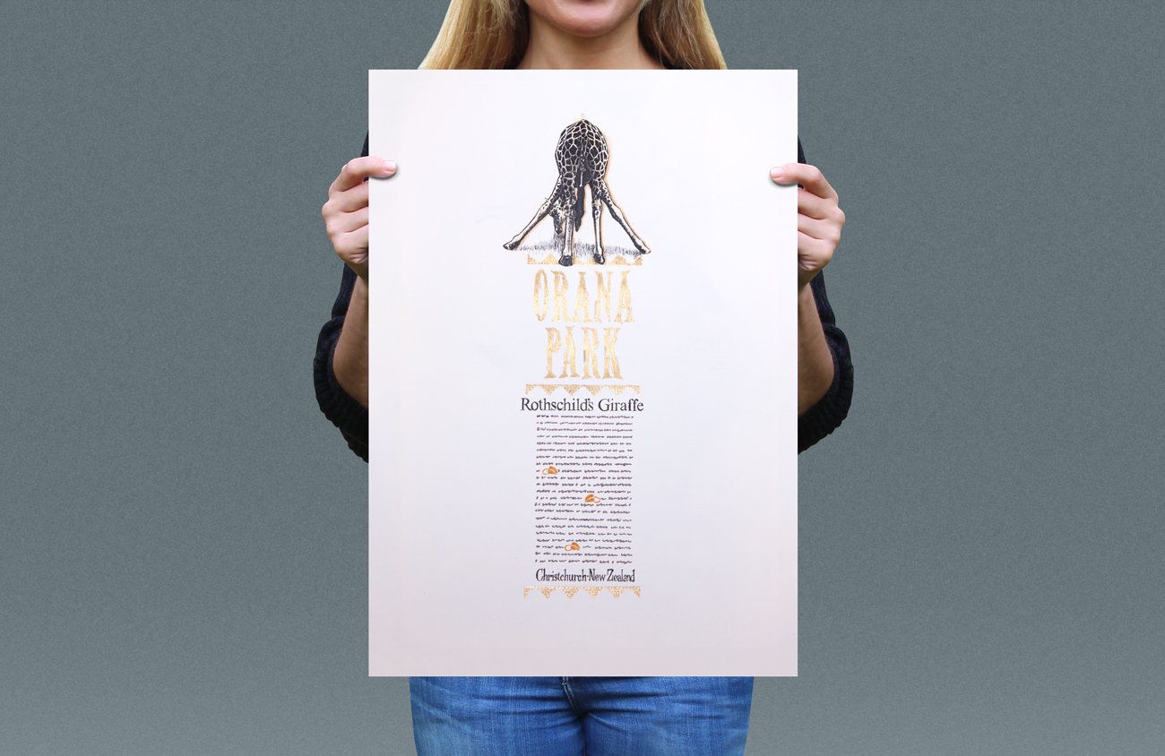 Visual presentation of Rothschild’s Giraffe T-shirt back