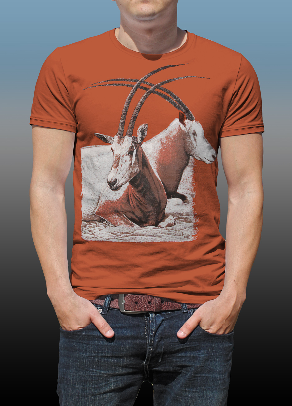 Orana Park Scimitar horned Oryx screen print on a burnt orange T-shirt