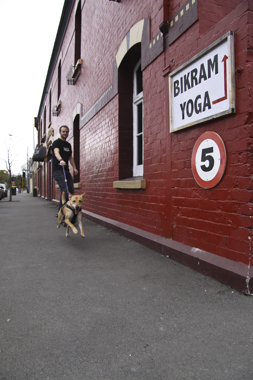 The Pomeroy’s Press. Pomeroy’s staff profile stories. Keeley Pomeroy and Basil.