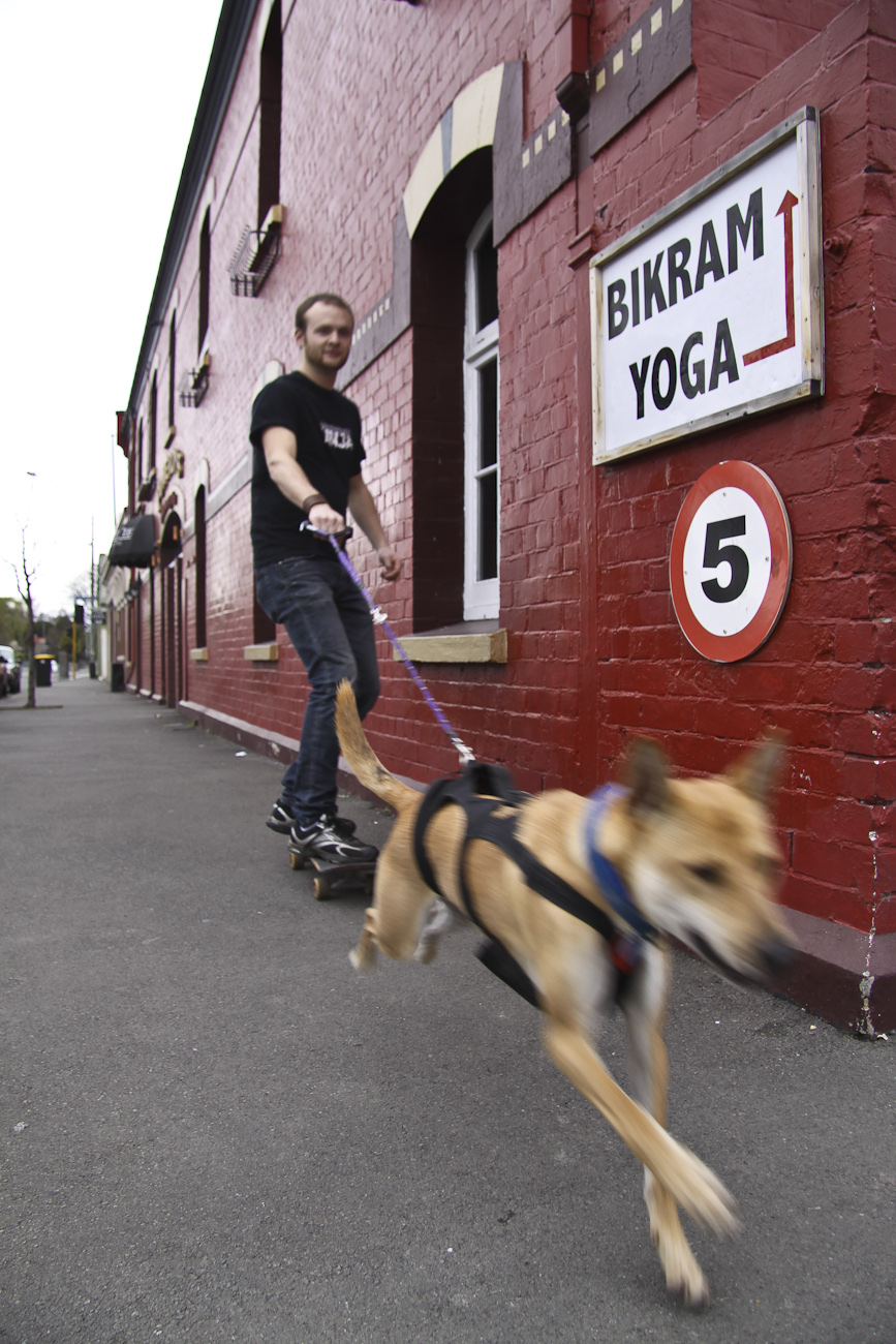 The Pomeroy’s Press. Pomeroy’s staff profile stories. Keeley Pomeroy and Basil.