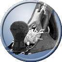 Auto Restorations custom coachbuilding plane icon.