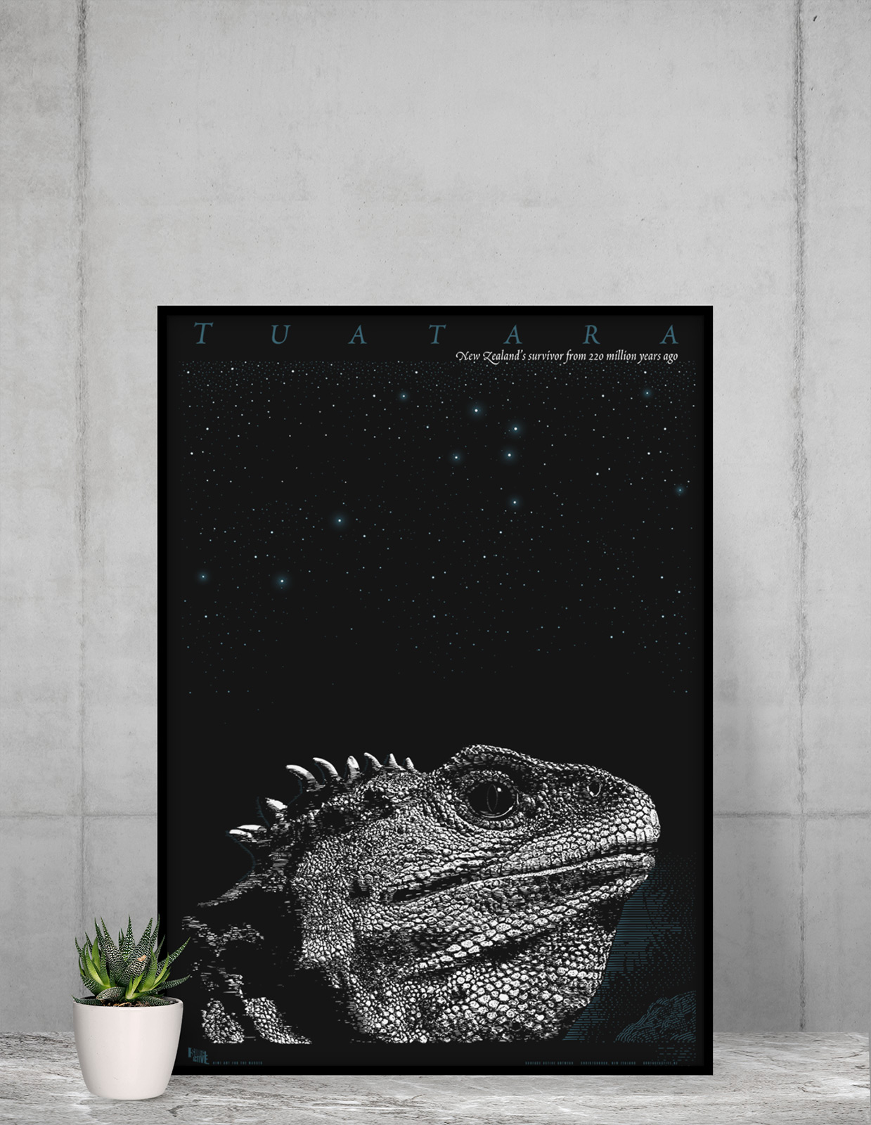 Surface Active tuatara framed poster against a concrete wall.