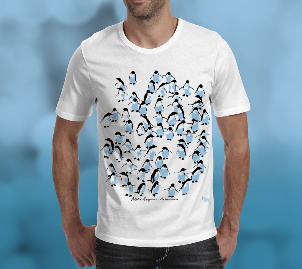 Adelie penguins Antarctica t-shirt front view, worn by a man in a studio.