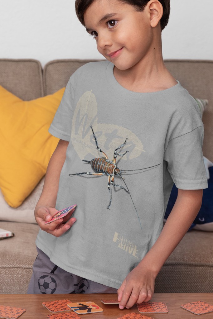 A kid wearing a light grey weta, New Zealand t-shirt. New Zealand’s insect dinosaur while he plays a card game in the lounge.