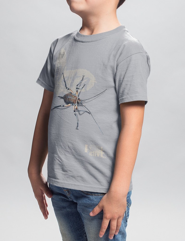 A boy standing in a studio wearing light grey weta, New Zealand t-shirt.