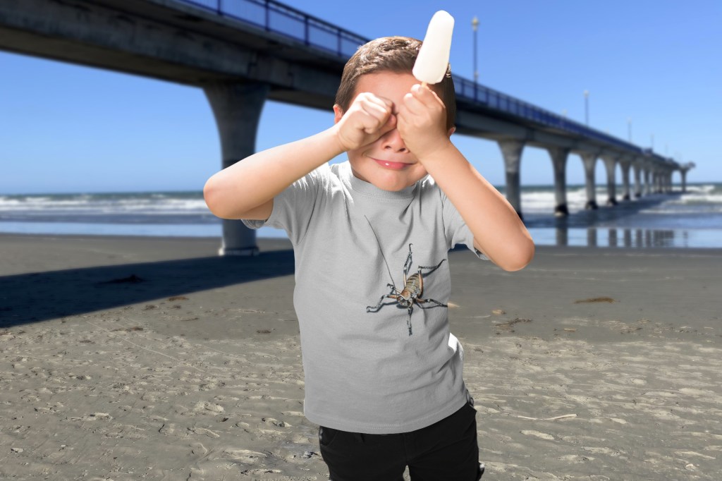 A child in a grey marle t-shirt with an all-over weta print holds an ice block while standing next to New Brighton Pier, enjoying a sunny day.