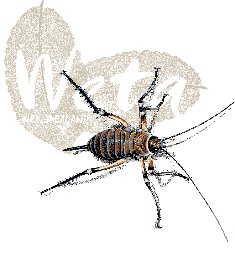 The giant weta t-shirt print finished art, reduced, on a transparent background.