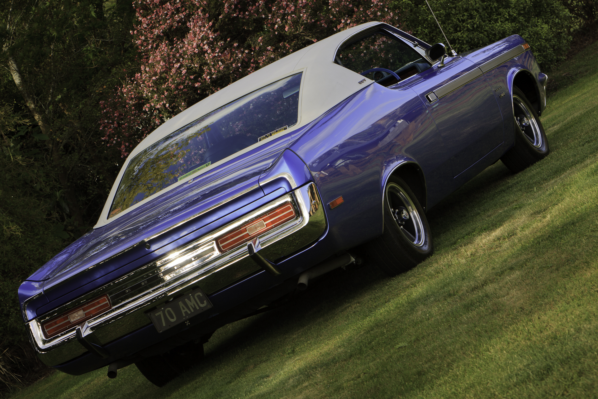 Tilted rear view of a restored 1970 Rambler Rebel SST in royal blue, showcasing the car's sleek design and detailed restoration work.