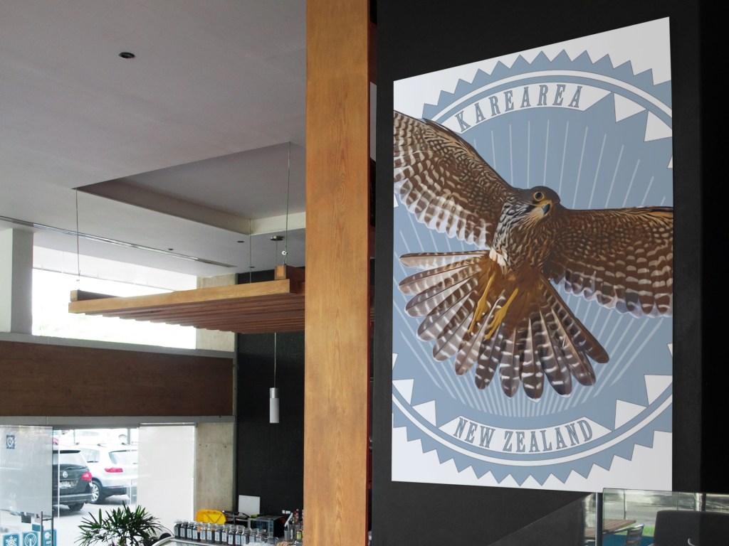 A large A1 poster of a karearea (New Zealand falcon) in flight, taped to a café wall.